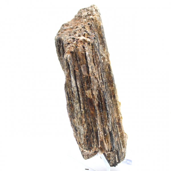 Tormalina nera del Madagascar - Esemplare di studio