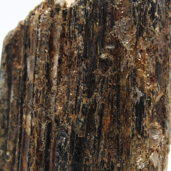 Tormalina nera del Madagascar - Esemplare di studio