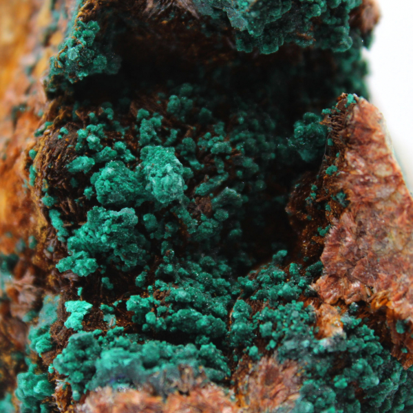 Azzurrite e Malachite dal Marocco