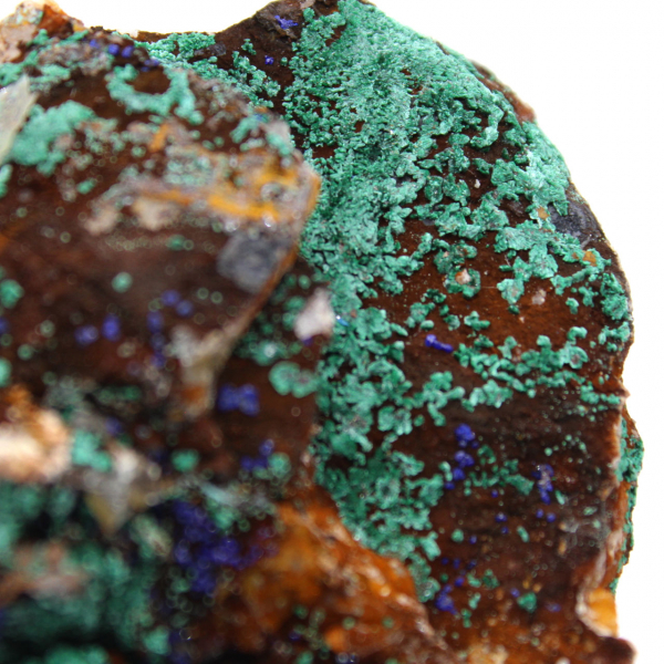 Duo di Azurite Malachite su matrice