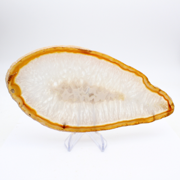 Fetta di agata gigante lucidata