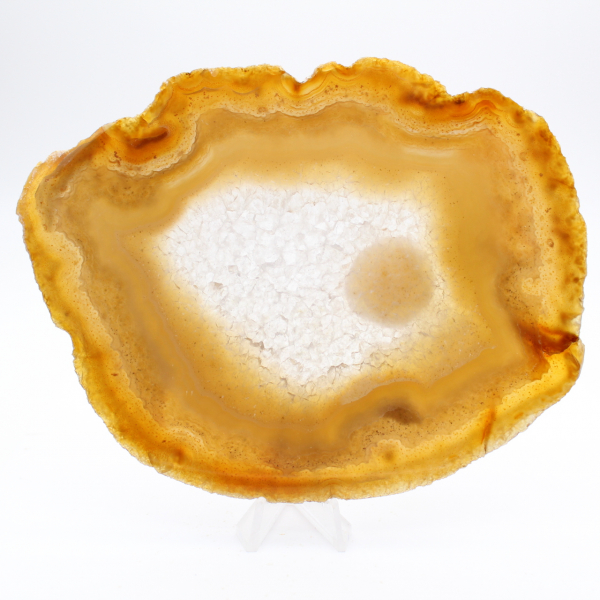 Agata brasiliana: Fetta di lusso