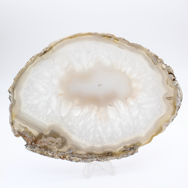 Enorme esemplare di agata lucidata