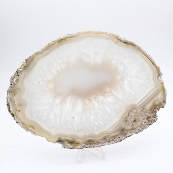 Enorme esemplare di agata lucidata