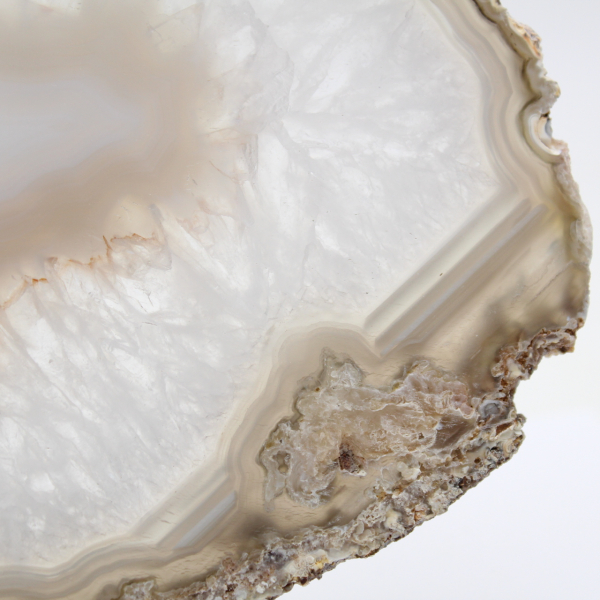 Enorme esemplare di agata lucidata