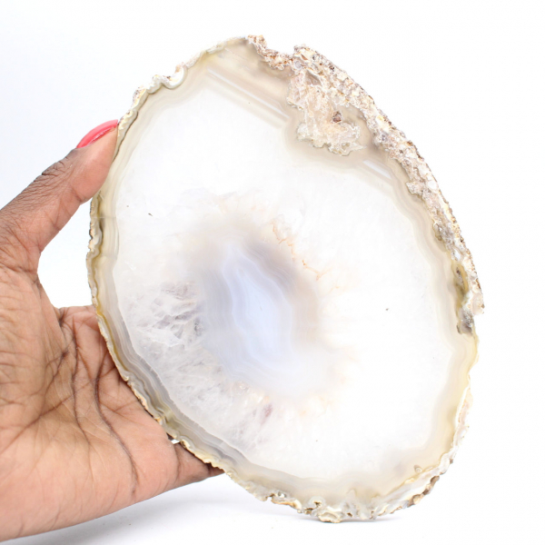 Enorme esemplare di agata lucidata