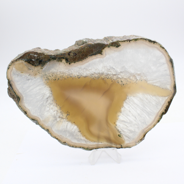 Fetta di agata con bande dense