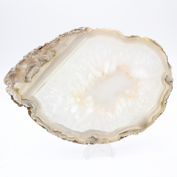 Agata brasiliana: esemplare lucidato