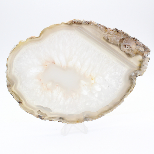 Agata brasiliana: esemplare lucidato