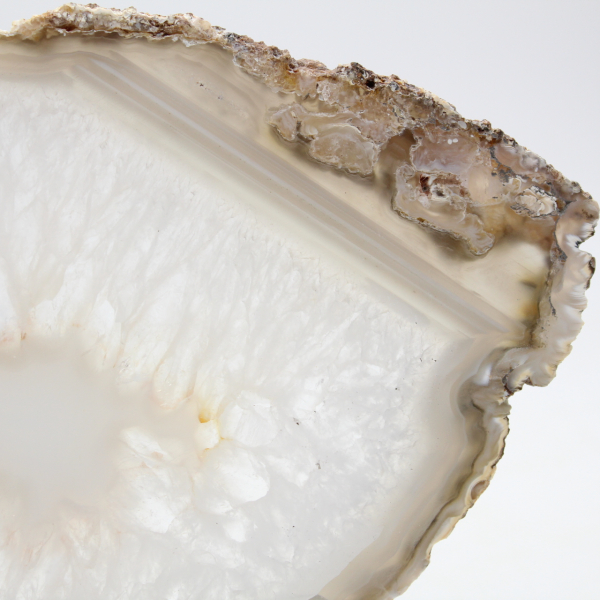 Agata brasiliana: esemplare lucidato