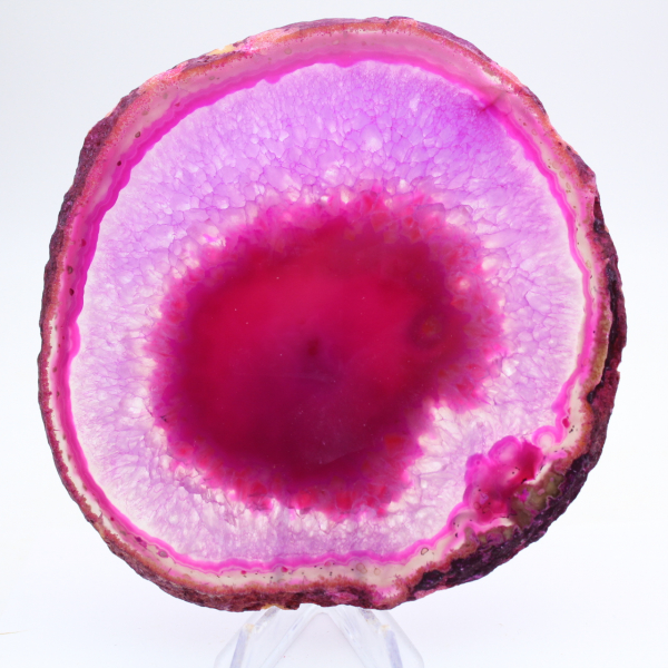 Fetta di agata rosa tinta per collezione