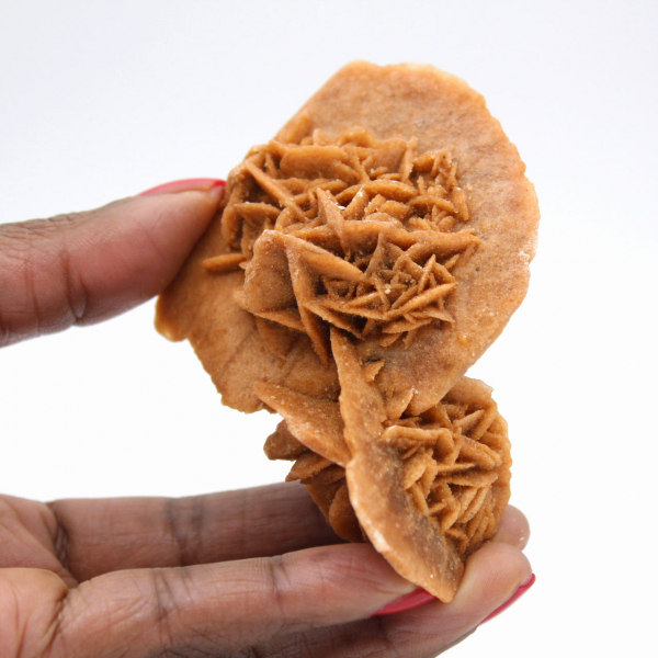 Rosa del deserto del Marocco: un esemplare di cristallizzazione naturale