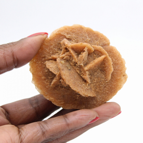 Rosa del deserto marocchina: autentica struttura cristallina