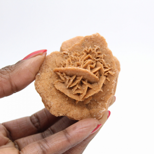 Rosa del deserto marocchina: un bouquet cristallino di gesso