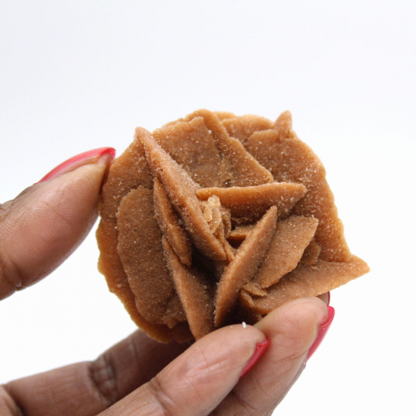 Piccolo frammento di Rosa del Deserto: un minerale del Marocco