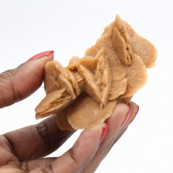 Esemplare di gesso cristallizzato: Rosa del deserto del Marocco