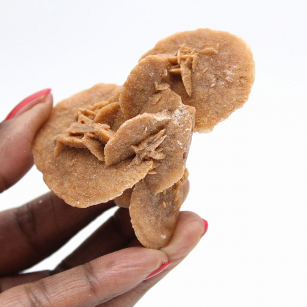 Piccola Rosa del Deserto del Marocco: la radiosità del gesso naturale