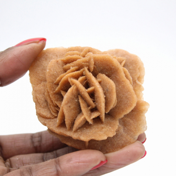 Rosa del deserto marocchina: bouquet di gesso naturale