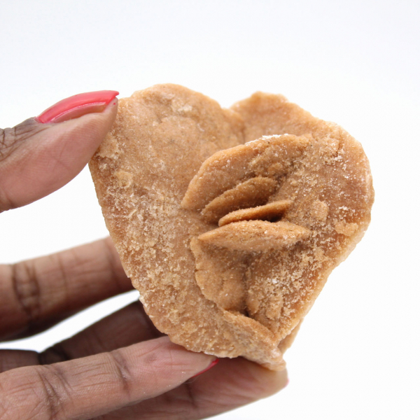 Rosa del deserto del Marocco: i delicati cristalli di gesso