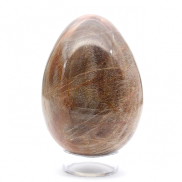 Uovo di pietra di luna nera 355 g - Madagascar