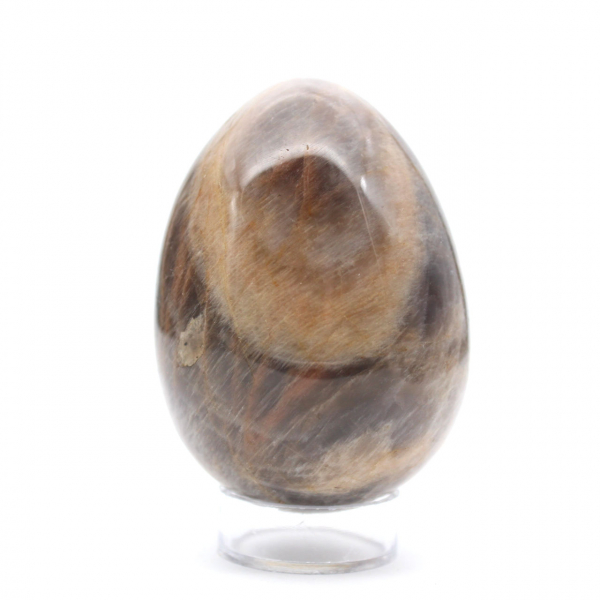 Uovo di microclino di pietra di luna nera