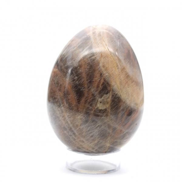 Uovo di microclino di pietra di luna nera