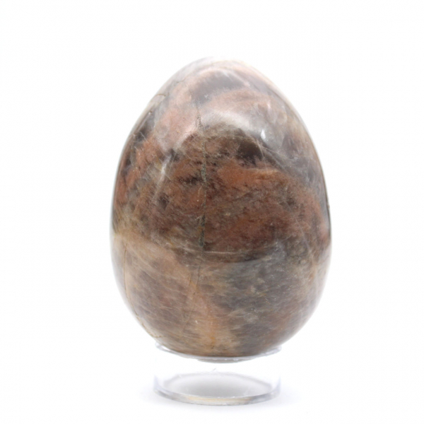 Uovo di microclino di pietra di luna nera