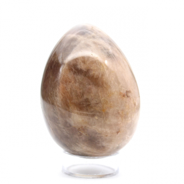 Uovo di Pietra di Luna Nera 300g Madagascar