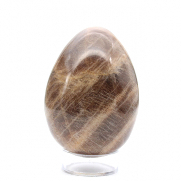 Uovo nero Microcline 260g - Madagascar