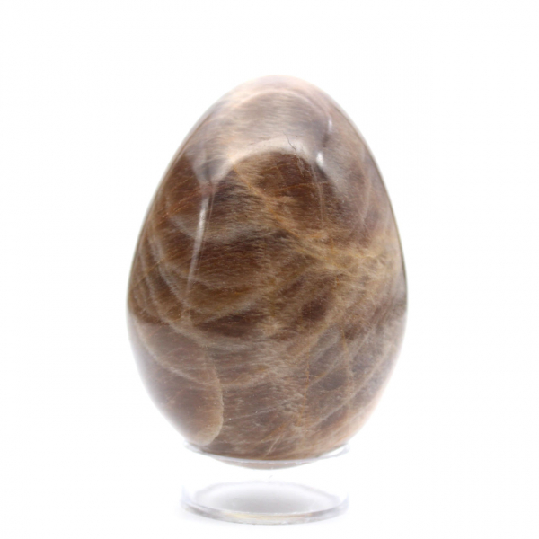 Uovo nero Microcline 260g - Madagascar