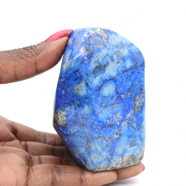 Fossile di ammonite segato e lucidato: brillantezza naturale dal Madagascar