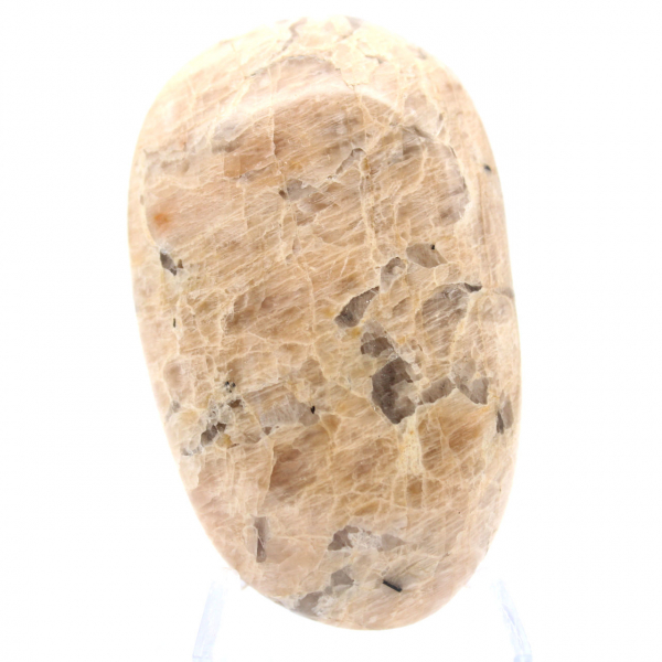 Ciottolo di feldspato del Madagascar – Campione di mineralogia