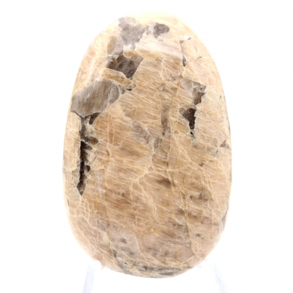 Ciottolo di feldspato del Madagascar – Campione di mineralogia
