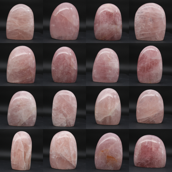 Quarto di rosa naturale da collezione