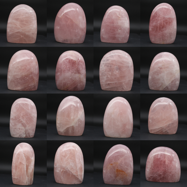 Quarto di rosa naturale da collezione