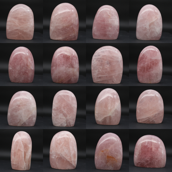 Quarto di rosa naturale da collezione