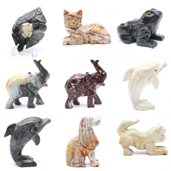 Gatto Gatto