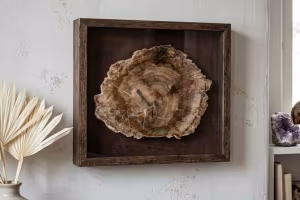 Legno pietrificato