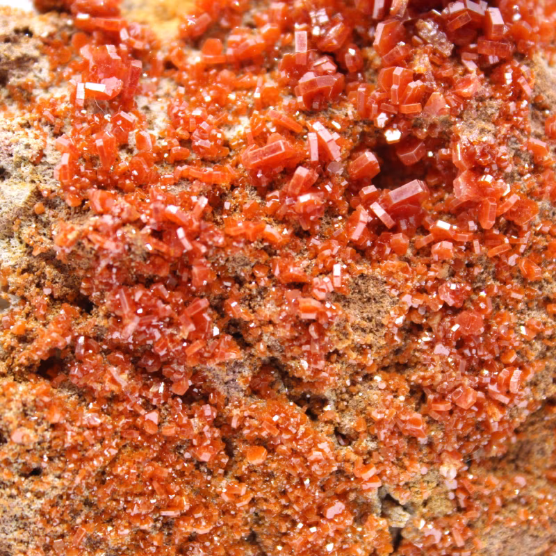 Scopri la vanadinite vanadinite maroc 049
