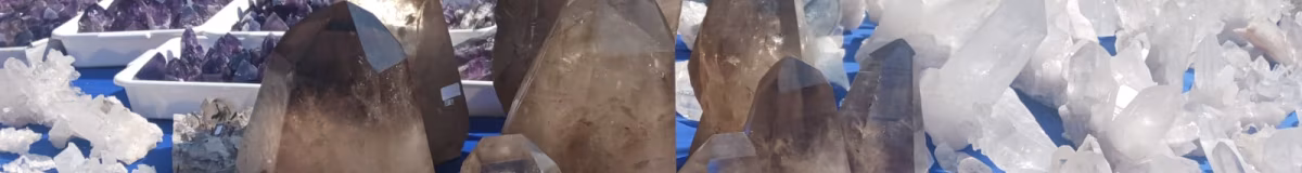 Mineral & Gem 2025: una grande esposizione mineralogica internazionale smam 2025 1
