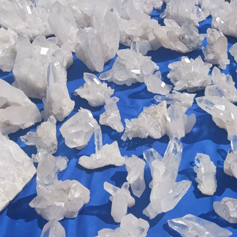 Mineral & Gem 2025: una grande esposizione mineralogica internazionale smam 2025 4