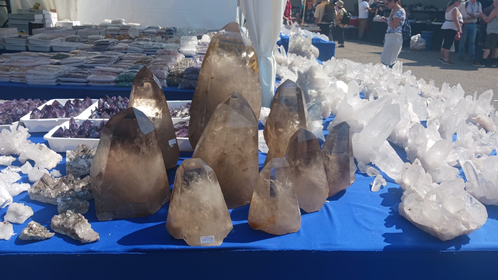 Mineral & Gem 2025: una grande esposizione mineralogica internazionale