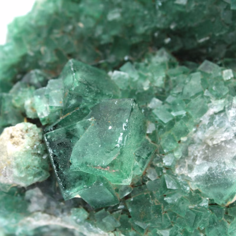 Minerali fluorescenti: quando le pietre brillano al buio fluorite brute 030