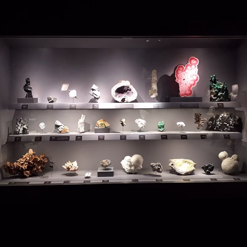 Galleria di Geologia e Mineralogia del Jardin des Plantes di Parigi Museum national histoire naturelle