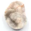 Quarzo su agata lucida - 0