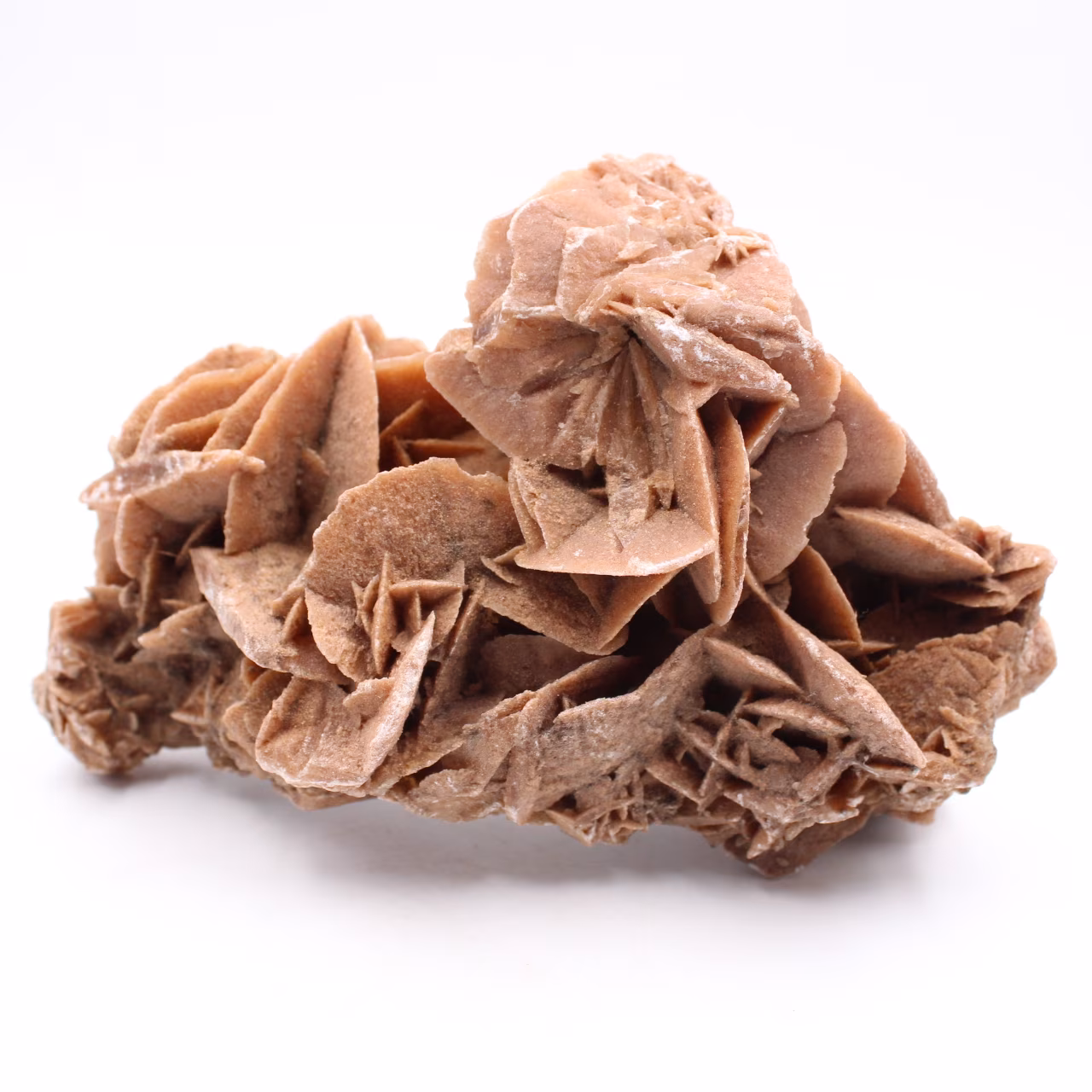 Sabbia rosa