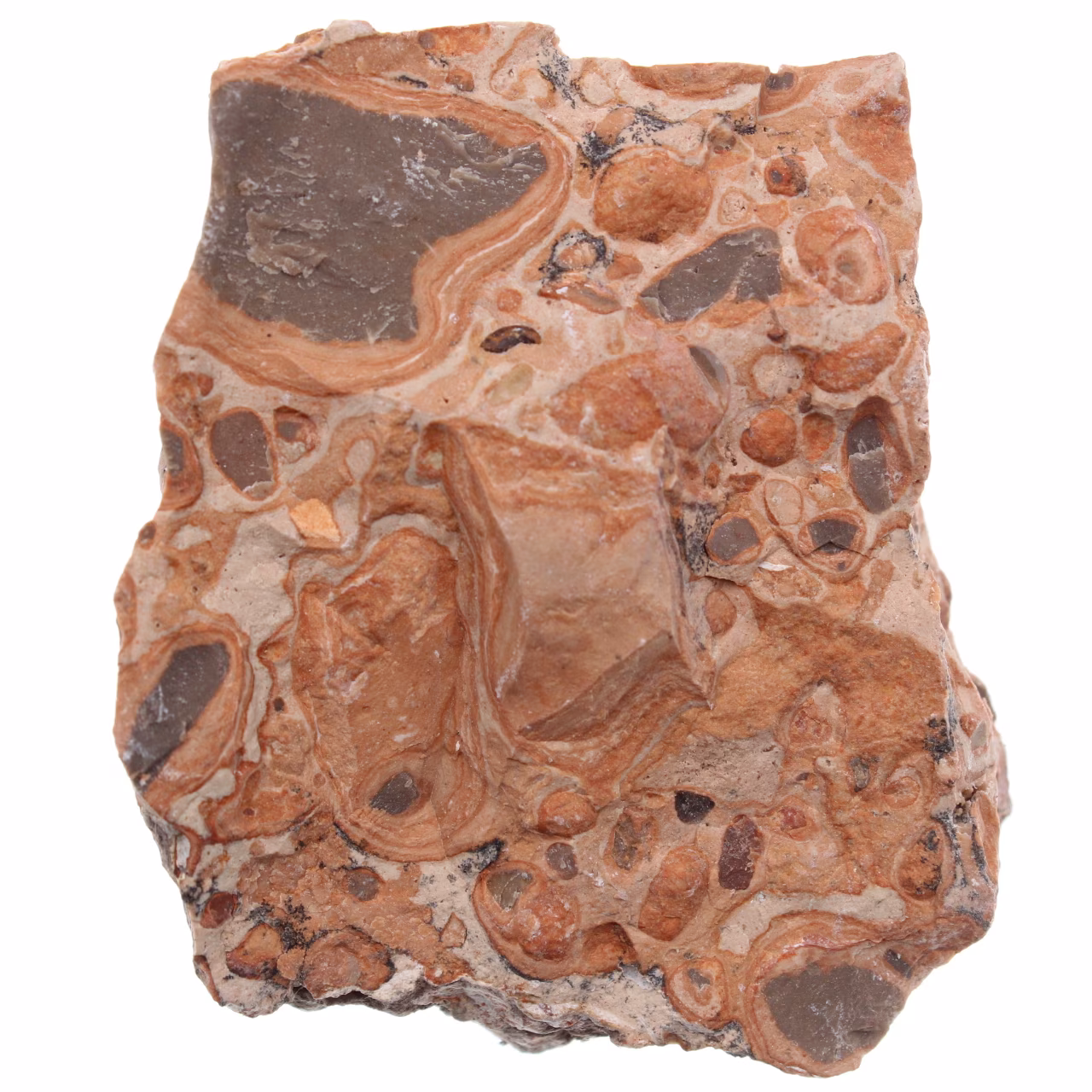 Leopardite