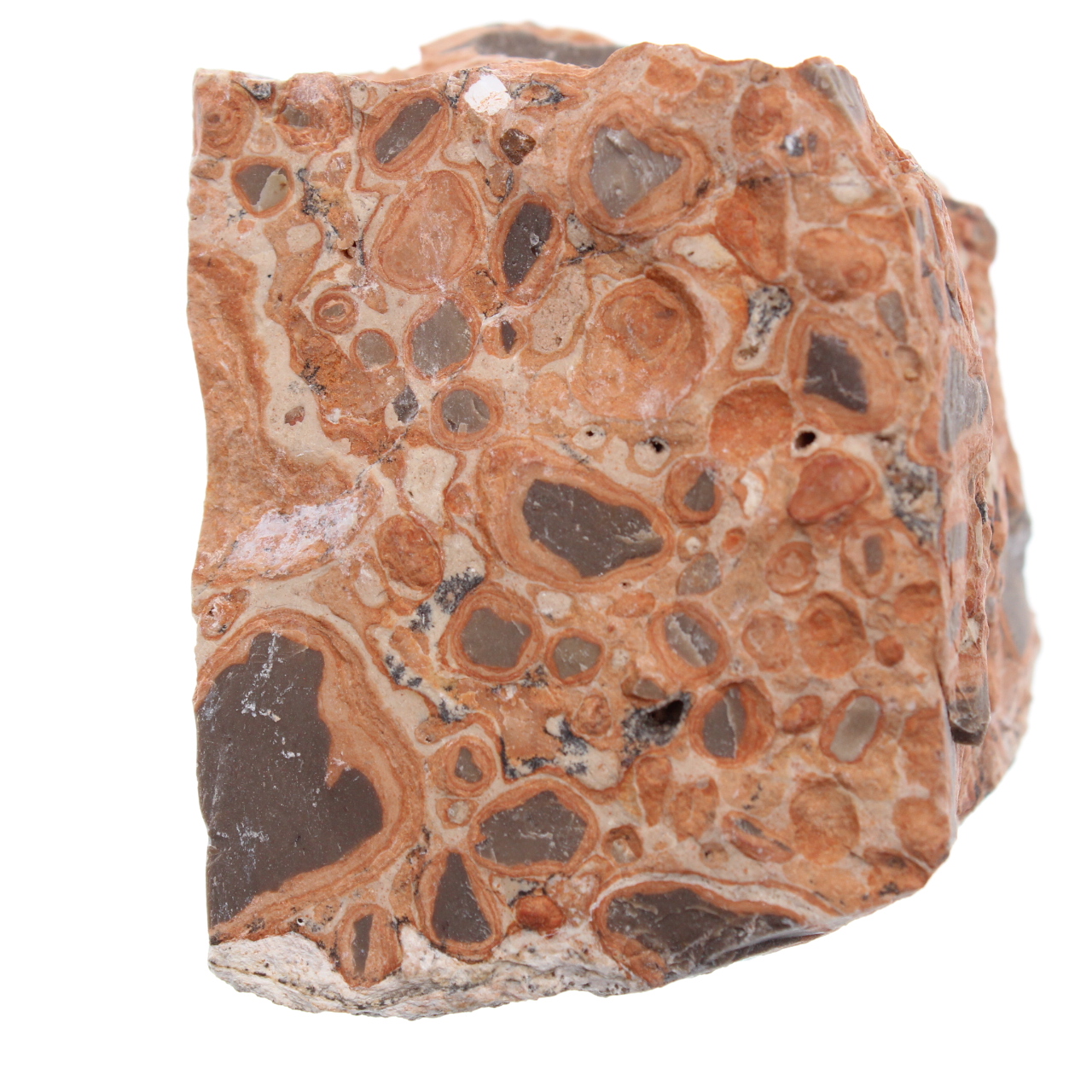 Leopardite