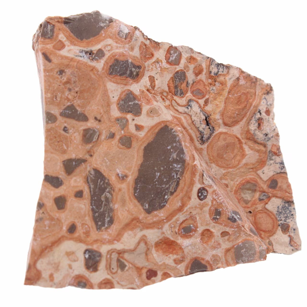 Leopardite