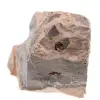Leopardite - 0